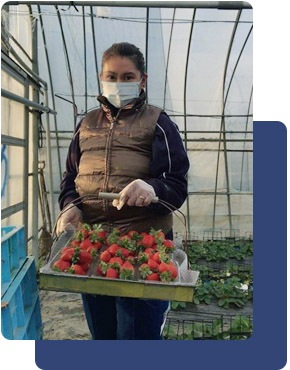 医療・福祉関係スタッフをお探しの企業様